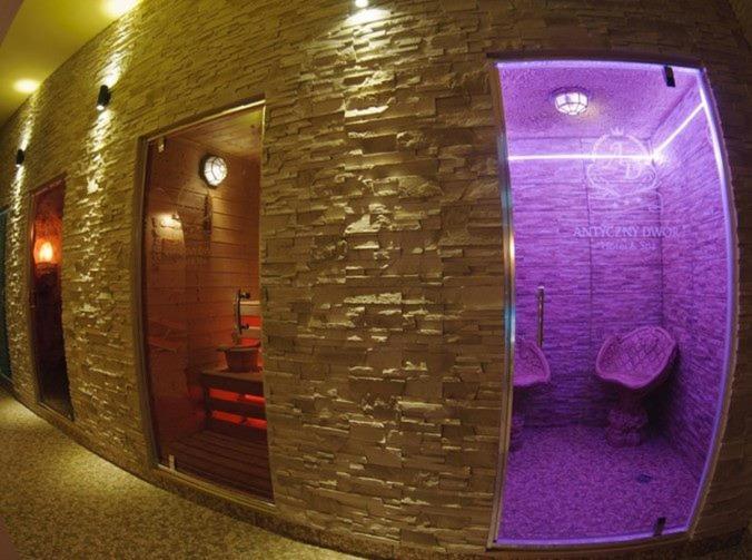 Hotel Wellness & Spa Antyczny Dwor Rudna Mala エクステリア 写真